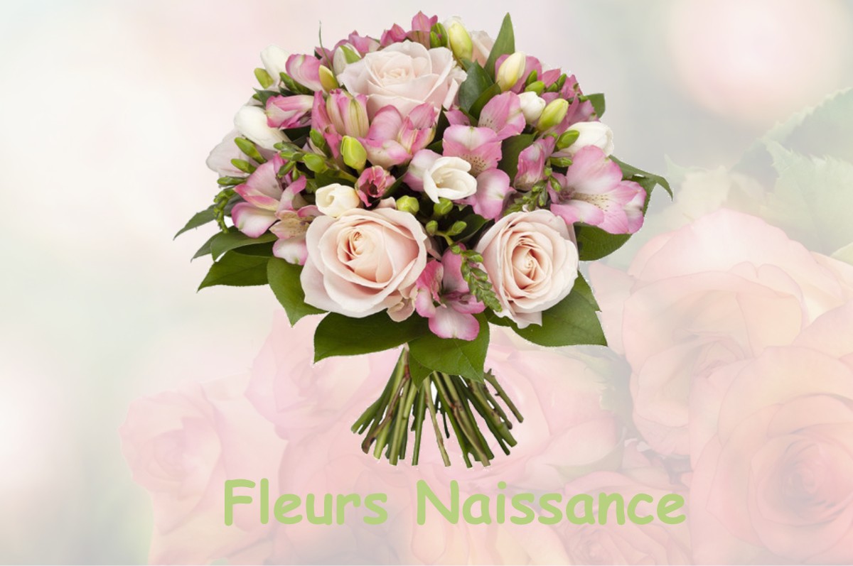 fleurs naissance SAULCE-SUR-RHONE